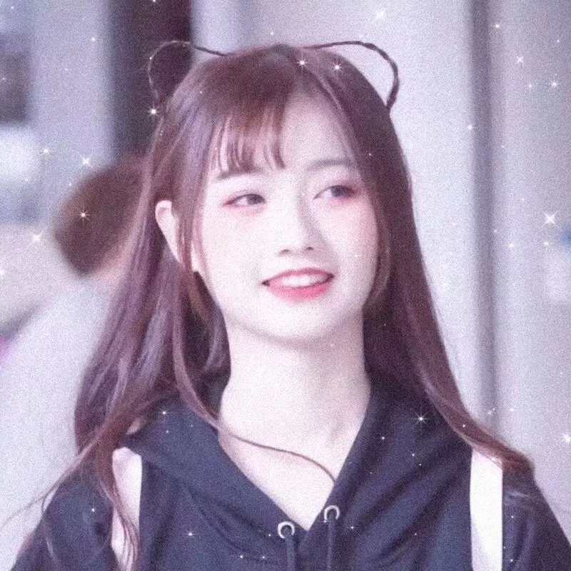 山菊花