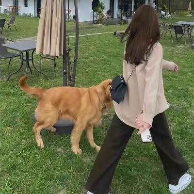 杨贵妃电影版